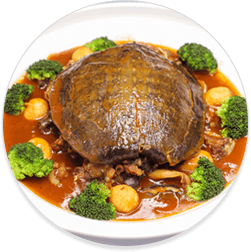 粤菜烹饪精英专业